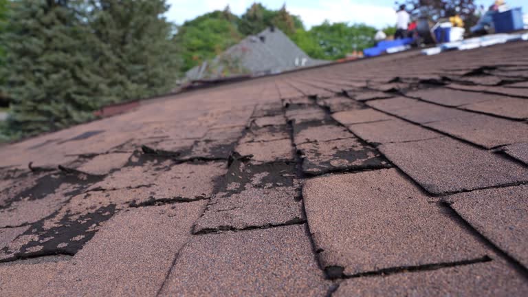 Best Emergency Roof Repair Services  in Mead Valley, CA
